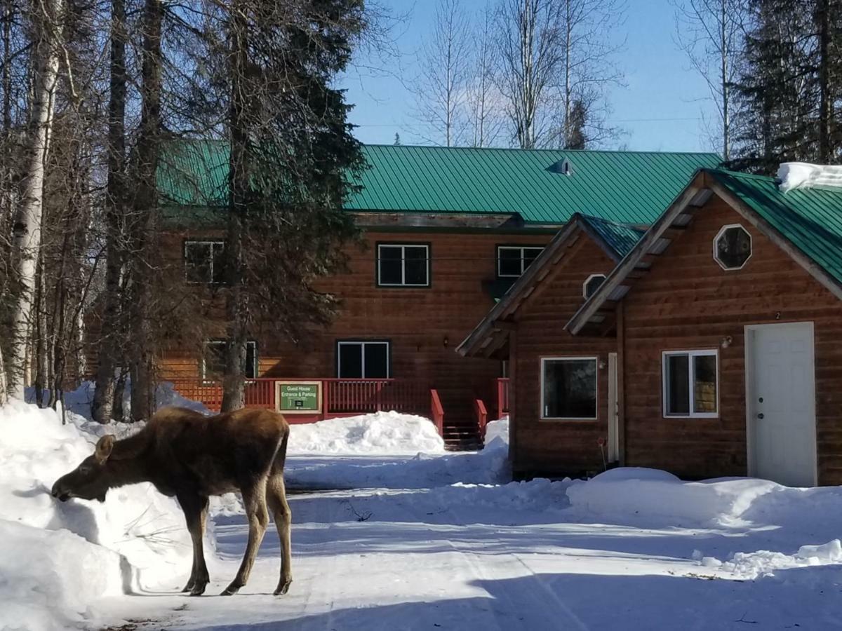 فندق Talkeetna Hideaway المظهر الخارجي الصورة